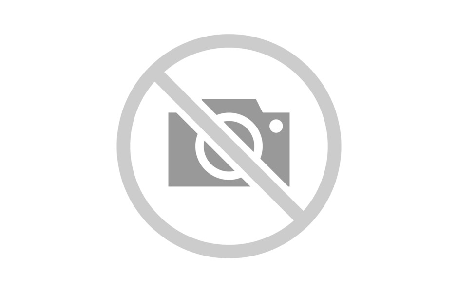 Condiment Aroma de fum (1kg)