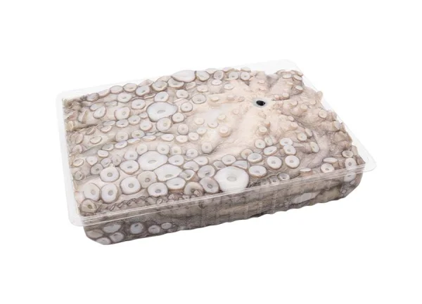 Caracatita congelata intreaga 2-3 kg