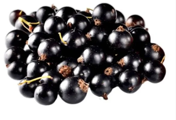 Coacaza neagra congelata  (1kg)