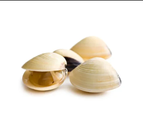 Vongole fierte 60/80 (900g)