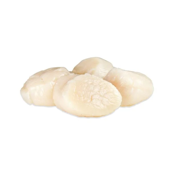 Moluste 10/20 "Ebi" (1kg)